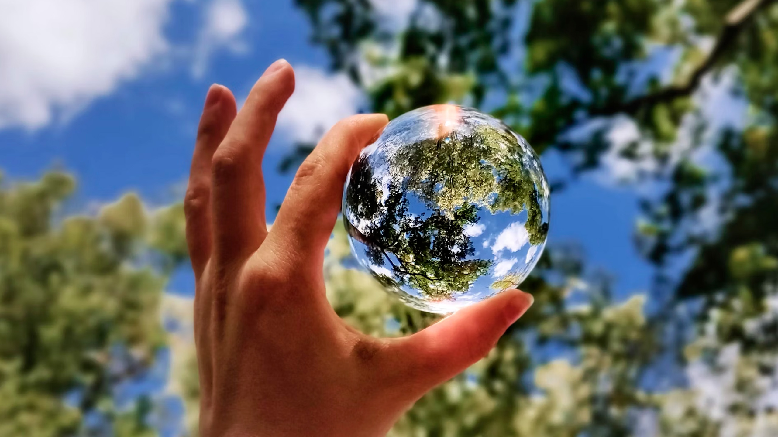 compromiso-pacto-mundial-2025