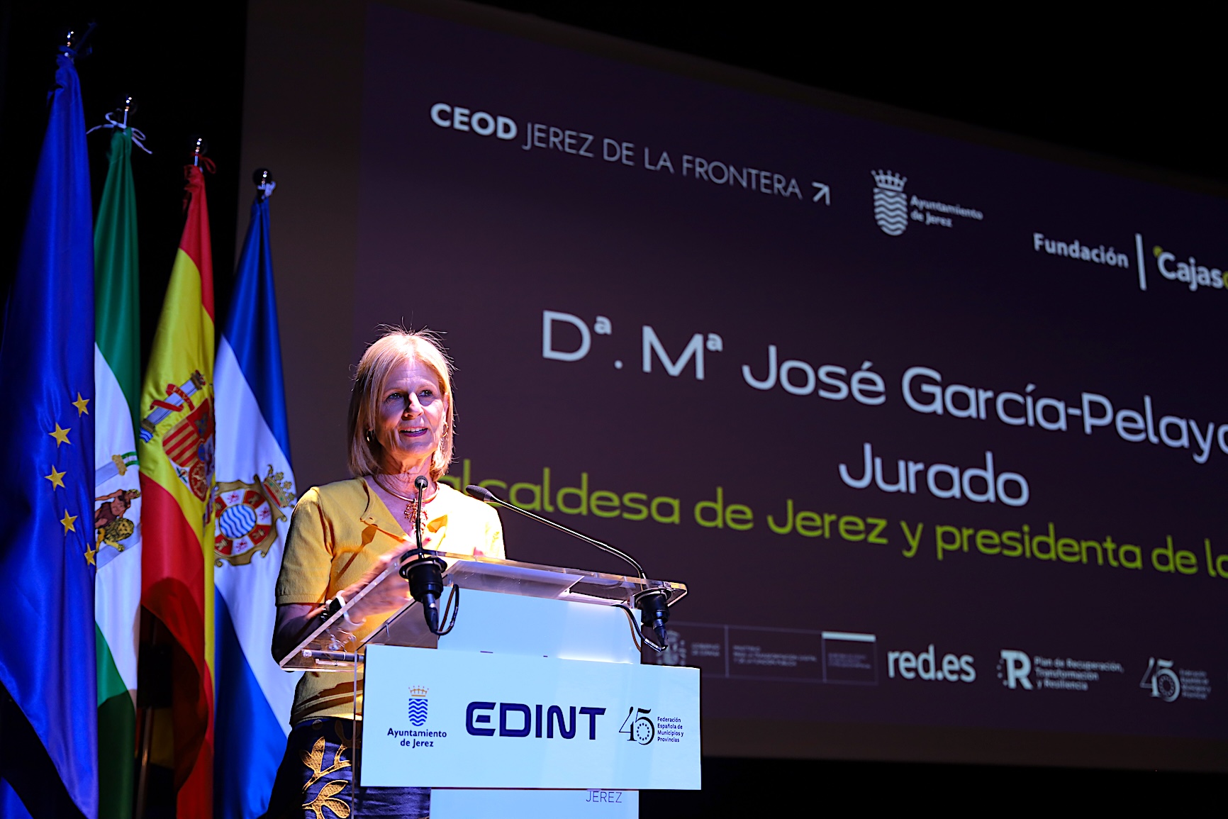 edint_mjgarciapelayo_femp_edint_jerez